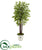 Silk Plants Direct  Bamboo Artificial Tree - Pack of 1