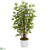 Silk Plants Direct Bamboo Artificial Tree - Pack of 1