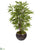 Silk Plants Direct Bamboo Artificial Tree - Pack of 1