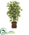 Silk Plants Direct Bamboo Artificial Tree - Pack of 1