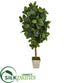 Silk Plants Direct Rubber Leaf Artificial Tree - Pack of 1