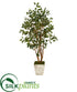 Silk Plants Direct Ficus Artificial Tree - Pack of 1