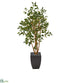 Silk Plants Direct Ficus Artificial Tree - Pack of 1