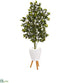 Silk Plants Direct Ficus Artificial Tree - Pack of 1