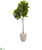 Silk Plants Direct Fiddle Leaf Artificial Tree - Pack of 1