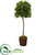 Silk Plants Direct Fiddle Leaf Artificial Tree in Decorative Planter - Pack of 1