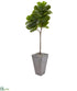 Silk Plants Direct Fiddle Leaf Artificial Tree in Cement Planter - Pack of 1