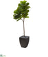 Silk Plants Direct  Fiddle Leaf Artificial Tree in Black Planter - Pack of 1