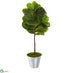 Silk Plants Direct  Fiddle Leaf Artificial Tree in Tin Bucket - Pack of 1