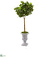 Silk Plants Direct Fiddle Leaf Artificial Tree in Decorative Urn - Pack of 1