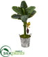 Silk Plants Direct Banana Artificial Tree - Pack of 1