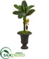 Silk Plants Direct Banana Artificial Tree - Pack of 1