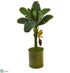 Silk Plants Direct Banana Artificial Tree - Pack of 1