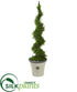 Silk Plants Direct  Cypress Artificial Spiral Topiary Tree - Pack of 1