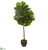 Silk Plants Direct Fiddle Leaf Artificial Tree - Pack of 1