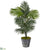 Silk Plants Direct Kentia Artificial Palm Tree - Pack of 1