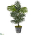 Silk Plants Direct Kentia Artificial Palm Tree - Pack of 1