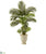 Silk Plants Direct Areca Palm Artificial Tree - Pack of 1