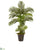 Silk Plants Direct Areca Palm Artificial Tree - Pack of 1