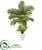 Silk Plants Direct Areca Palm Artificial Tree - Pack of 1