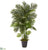 Silk Plants Direct Areca Palm Artificial Tree - Pack of 1