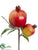 Pomegranate Pick - Red Green - Pack of 12