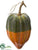 Gourd - Green Orange - Pack of 6