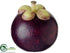 Silk Plants Direct Mangosteen - Plum - Pack of 12