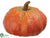 Pumpkin - Orange - Pack of 2