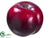 Plum - Red Burgundy - Pack of 12