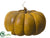 Pumpkin - Toffee Orange - Pack of 2