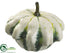 Silk Plants Direct Star Squash - Cream Green - Pack of 12