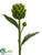 Artichoke Spray - Green - Pack of 6