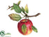 Silk Plants Direct Apple - Red - Pack of 12