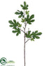 Silk Plants Direct Fig Leaf Spray - Green - Pack of 12