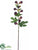 Silk Plants Direct Fig Spray - Plum Burgundy - Pack of 6