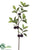 Plum Branch - Plum - Pack of 6