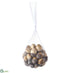 Silk Plants Direct Marble-Look Acorn - Beige - Pack of 6