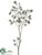 Olive Branch - Green Burgundy - Pack of 2