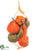 Pumpkin, Gourd - Orange Green - Pack of 6