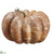 Marble-Look Pumpkin - Brown Cream - Pack of 6