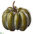 Pumpkin - Green - Pack of 6