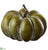 Pumpkin - Green - Pack of 4