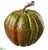 Pumpkin - Green - Pack of 6