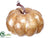 Pumpkin - Beige Gold - Pack of 4