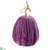 Velvet Pumpkin - Purple - Pack of 6