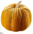 Velvet Pumpkin - Amber - Pack of 12