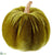 Velvet Pumpkin - Green - Pack of 12