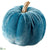 Velvet Pumpkin - Teal - Pack of 12