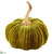 Velvet Pumpkin - Green - Pack of 4